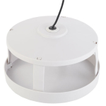 trampa para pulgas mata pulgas control de pulgas