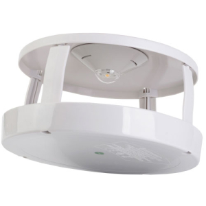 trampa para pulgas mata pulgas control de pulgas