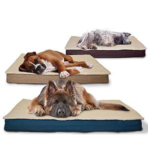 Accesorios para Perros y Mascotas